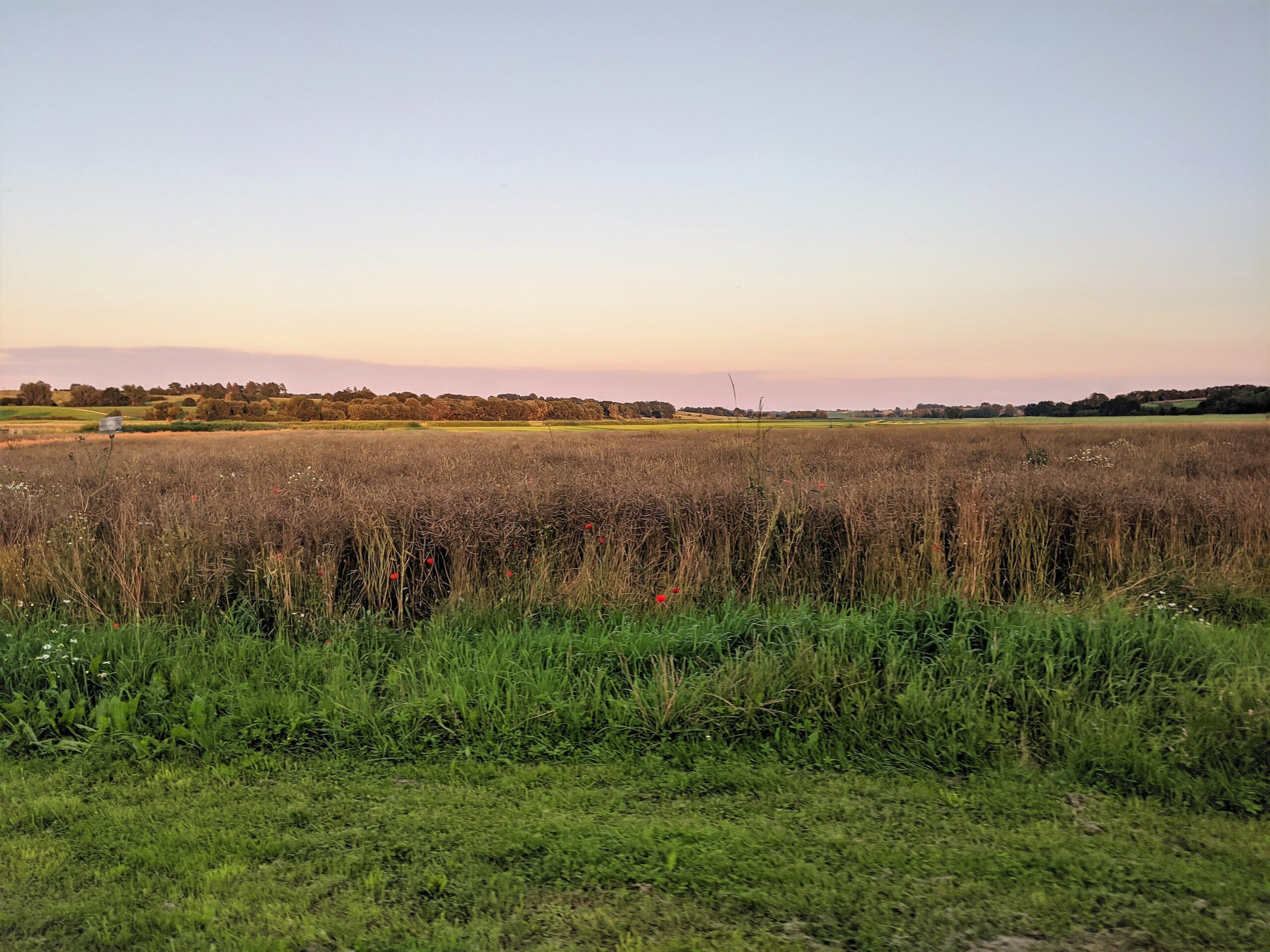 landschaft tollense