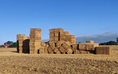 17.-18. September – Bauen mit Holz, Stroh und Lehm