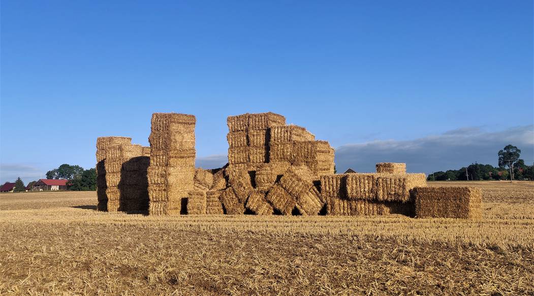 17.-18. September – Bauen mit Holz, Stroh und Lehm