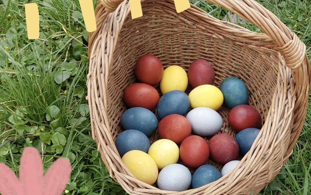 Frühlingserwachen