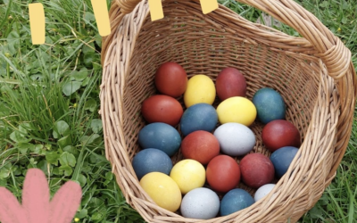 Frühlingserwachen